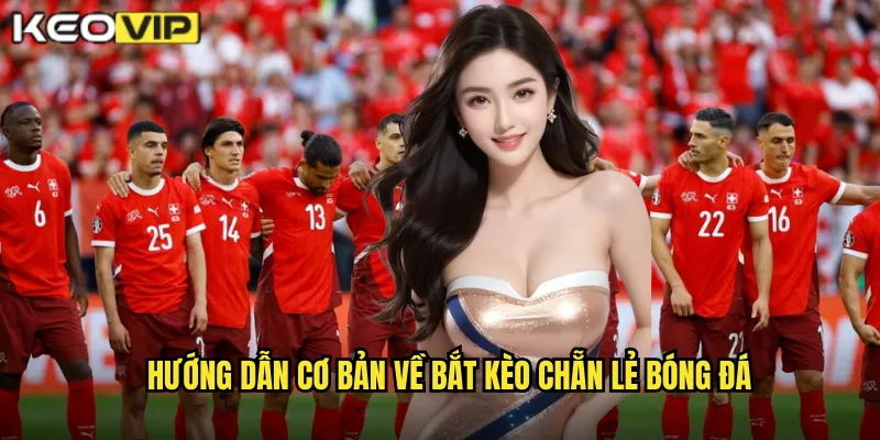 Hướng dẫn cơ bản về bắt kèo chẵn lẻ bóng đá