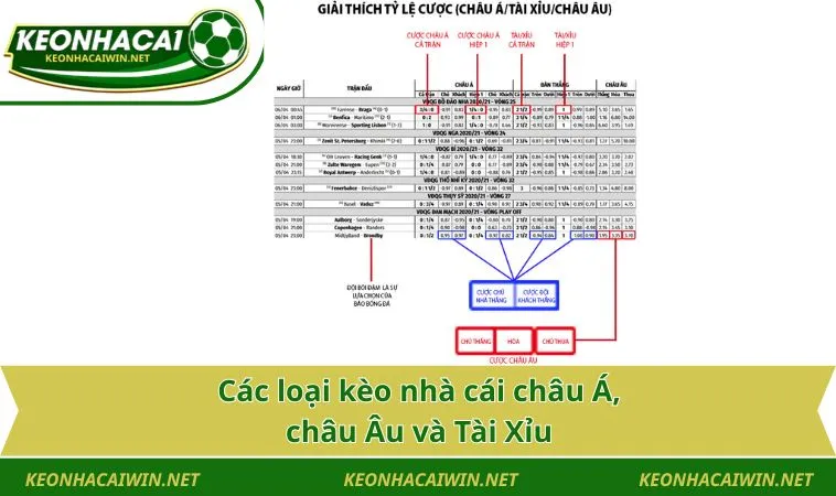 cac loai keo nha cai chau a chau au va tai Các loại kèo nhà cái châu Á, châu Âu và Tài Xỉu