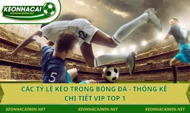 Các Tỷ Lệ Kèo Trong Bóng Đá - Thống Kê Chi Tiết VIP Top 1