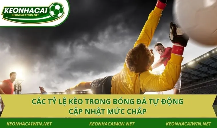cac ty le keo trong bong da tu dong cap nhat muc chap Các tỷ lệ kèo trong bóng đá tự động cập nhật mức chấp