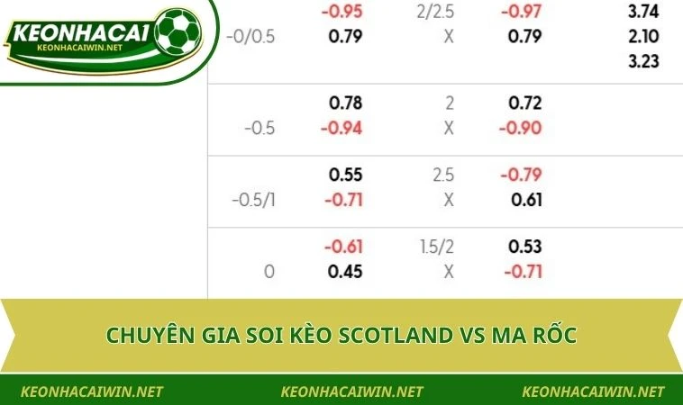 chuyen gia soi keo scotland vs ma roc Chuyên gia soi kèo World Cup Scotland vs Ma Rốc