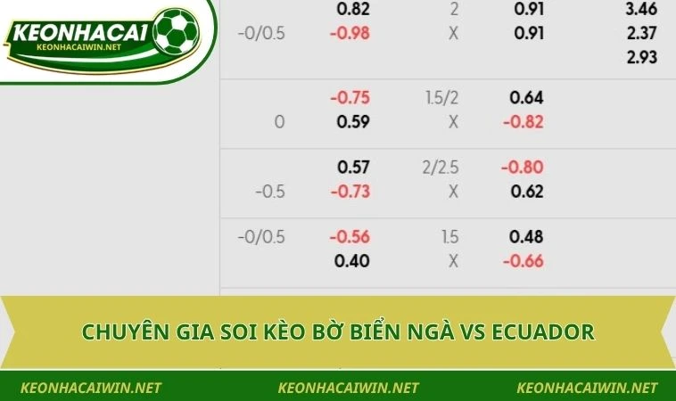chuyen gia soi keo world cup bo bien nga vs ecuador Chuyên gia soi kèo Bờ Biển Ngà vs Ecuador