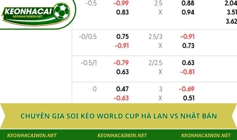 Chuyên gia soi kèo World Cup Hà Lan vs Nhật Bản