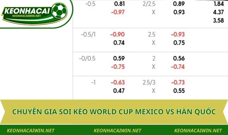 chuyen gia soi keo world cup mexico vs han quoc Chuyên gia soi kèo World Cup Mexico vs Hàn Quốc