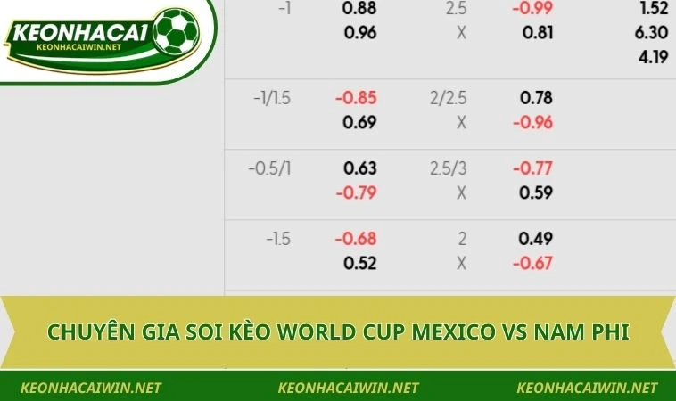 Chuyên gia soi kèo World Cup Mexico vs Nam Phi