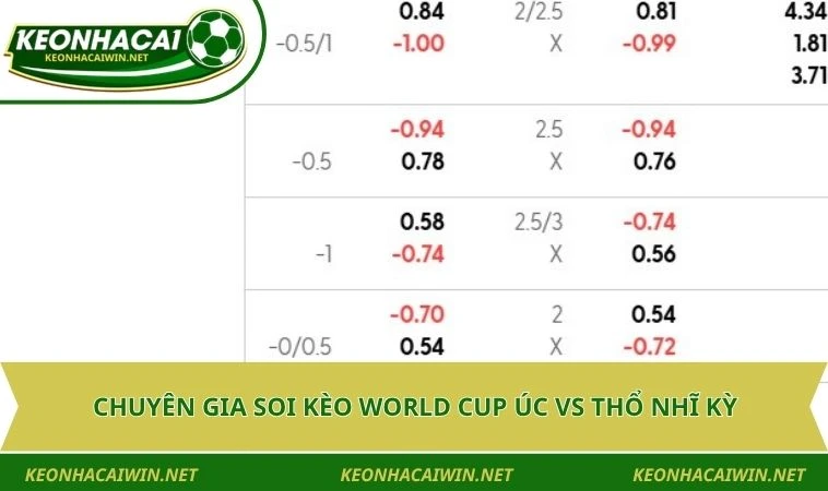 chuyen gia soi keo world cup uc vs tho nhi ky Chuyên gia soi kèo World Cup Úc vs Thổ Nhĩ Kỳ