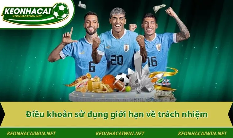 dieu khoan su dung gioi han ve trach nhiem 11zon Điều khoản sử dụng giới hạn về trách nhiệm