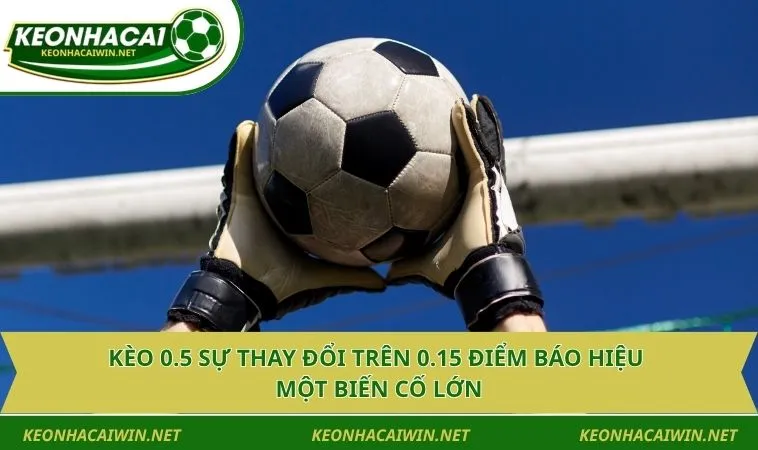 keo 0 5 su thay doi tren 0 15 diem bao hieu mot bien co lon Kèo 0.5 sự thay đổi trên 0.15 điểm báo hiệu một biến cố lớn