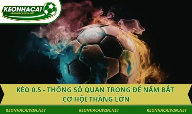 Kèo 0.5 - Thông Số Quan Trọng Để Nắm Bắt Cơ Hội Thắng Lớn
