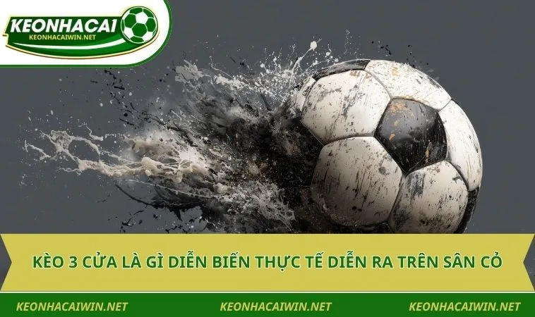 keo 3 cua la gi dien bien thuc te dien ra tren san co Kèo 3 cửa là gì diễn biến thực tế diễn ra trên sân cỏ