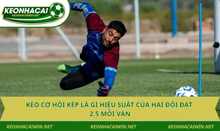 keo co hoi kep la gi hieu suat cua hai doi dat 2 5 moi van Kèo cơ hội kép là gì hiệu suất của hai đội đạt 2.5 mỗi ván