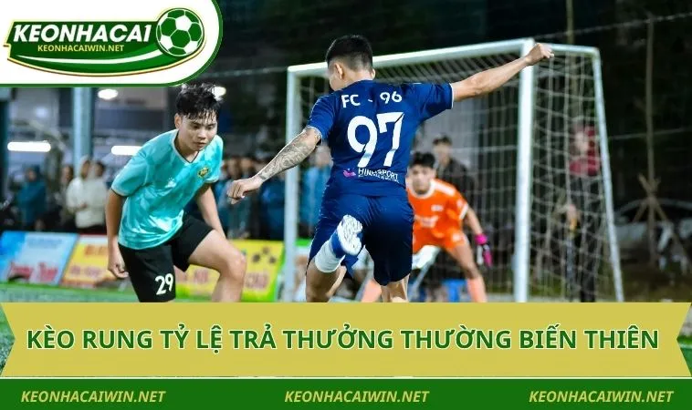 keo rung ty le tra thuong thuong bien thien Kèo rung tỷ lệ trả thưởng thường biến thiên