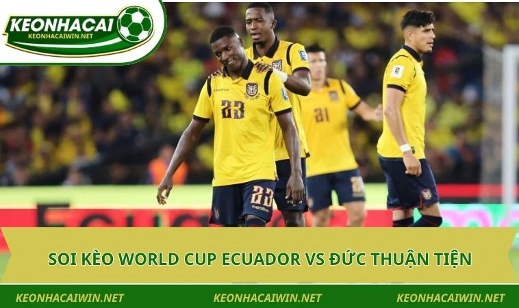 Soi kèo World Cup Ecuador vs Đức thuận tiện