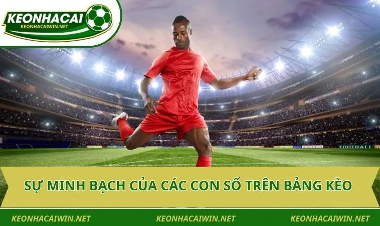 su minh bach cua cac con so tren bang keo Sự minh bạch của các con số trên bảng kèo