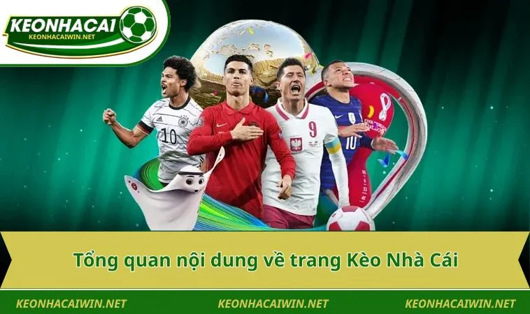 tong quan noi dung ve trang keo nha cai Tổng quan nội dung về trang Kèo Nhà Cái