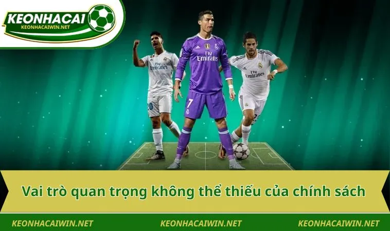 vai tro quan trong khong the thieu cua chinh sach Vai trò quan trọng không thể thiếu của chính sách